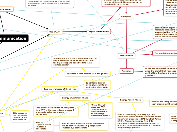 Cell Communication Mind Map