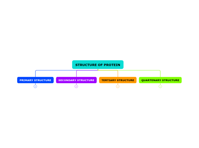 STRUCTURE OF PROTEIN Mind Map