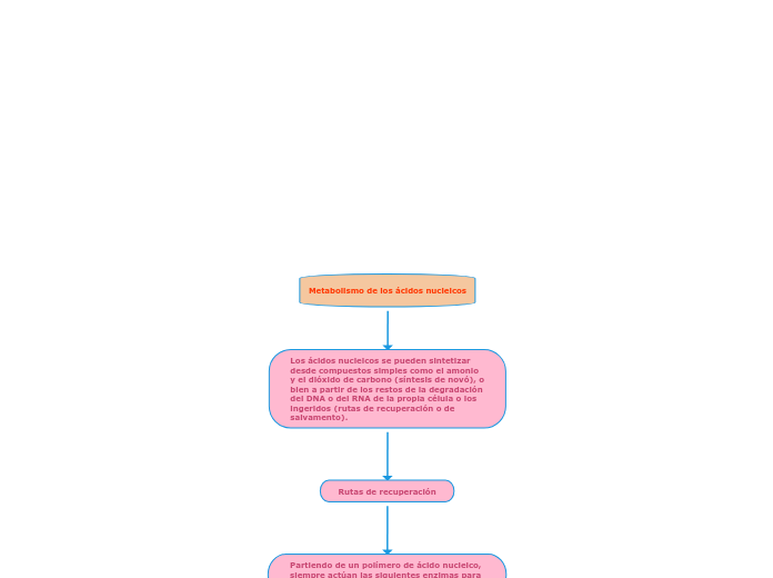 Metabolismo de los ácidos nucleicos Mind Map