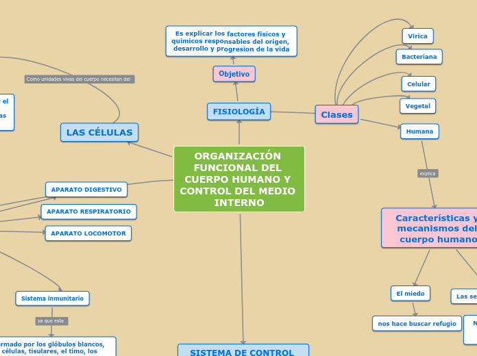 organizaci-n-funcional-del-cuerpo-humano-y-mind-map
