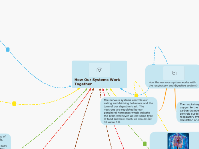 How Our Systems Work Together - Mind Map