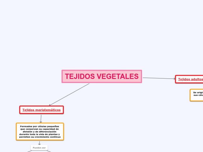 Tejidos Vegetales Mapa Mental