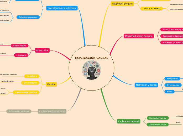 EXPLICACIÓN CAUSAL Mapa Mental Amostra