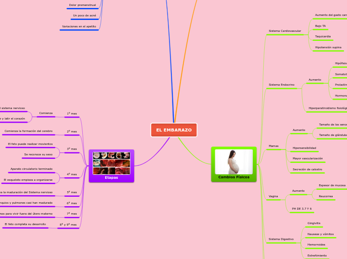 EL EMBARAZO Mapa Mental