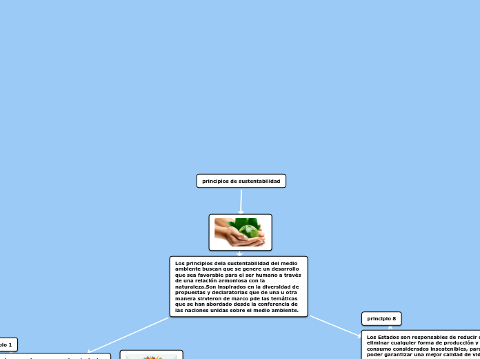 principios de sustentabilidad Mapa Mental