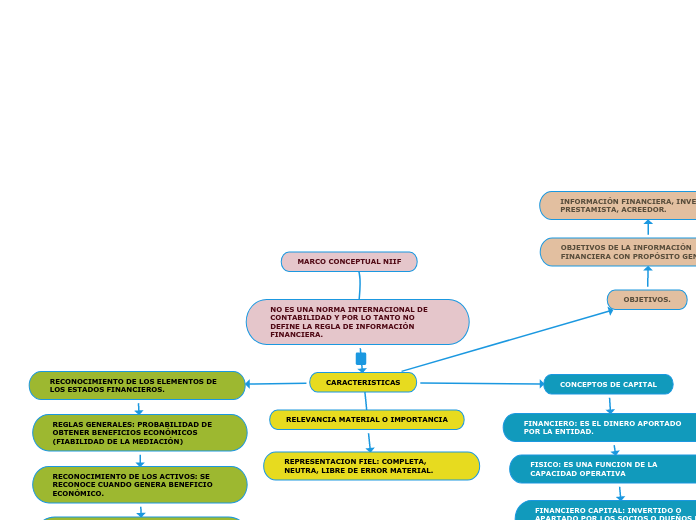 MARCO CONCEPTUAL NIIF Adimen Mapa