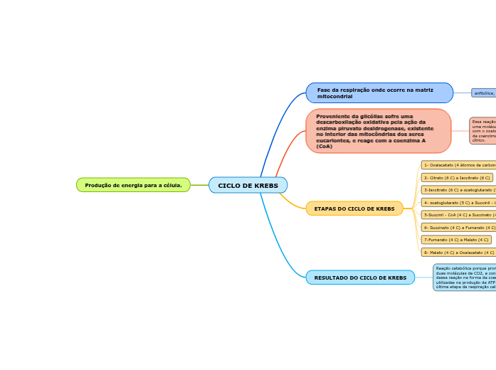 CICLO DE KREBS Mapa Mental Amostra
