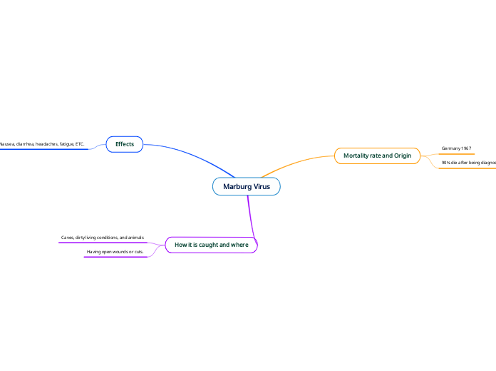 Marburg Virus Mind Map