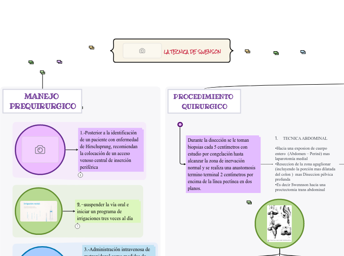 LA TECNICA DE SWENSON - Mind Map