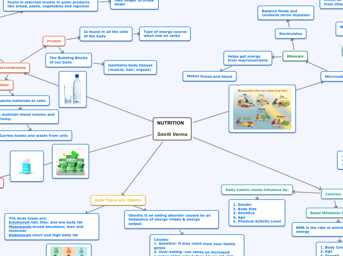 Nutrition Concept Map